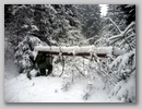 sdc14482.jpg