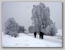 sdc14504.jpg