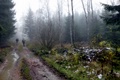 p1130660.jpg
