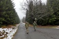 p1130680.jpg
