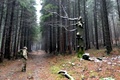 p1130713.jpg