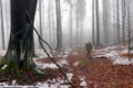 p1130724.jpg