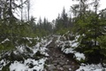 p1130764.jpg
