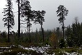 p1130767.jpg