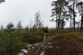 p1130768.jpg