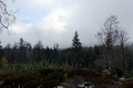 p1130770.jpg