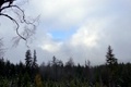 p1130772.jpg