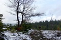 p1130785.jpg