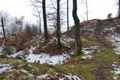 p1130796.jpg