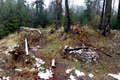 p1130800.jpg