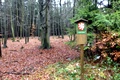 p1130815.jpg