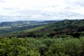 p1280421.jpg