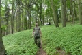 p1280517.jpg