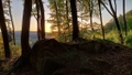 20210511_052714.jpg