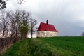 p1330836.jpg