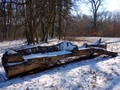 dsc01744.jpg