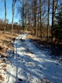 dsc01750.jpg