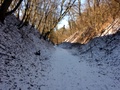 dsc01755.jpg