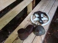 dsc03320.jpg