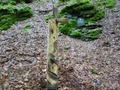 dsc03324.jpg