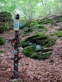 dsc03409.jpg